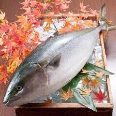 鰤王 牛タン 居酒屋 竹 裏戸塚 自慢の食材 海峡育ち 鰤王 Buri Oh ぐるなび