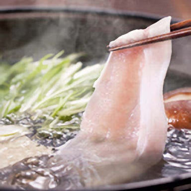 個室 九州地鶏居酒屋 肉寿司×もつ鍋食べ放題 炭鶏 新宿店 コースの画像