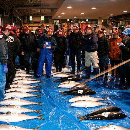 魚料理の美味しいお店 日本橋でおすすめしたい人気のお店 ぐるなび 魚料理の美味しいお店 日本橋でおすすめしたい人気のお店 ぐるなび