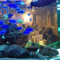 海水魚が泳ぐ店内
