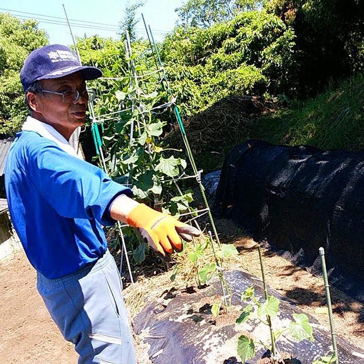 野菜ソムリエ厳選!契約農家直送野菜