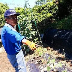 スペインのちょっと居酒屋 バルマル 赤坂見附_野菜ソムリエ厳選!契約農家直送野菜