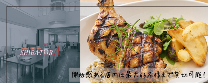 SHIBATORA 溝ノ口店