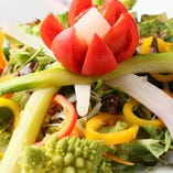 季節の野菜サラダ