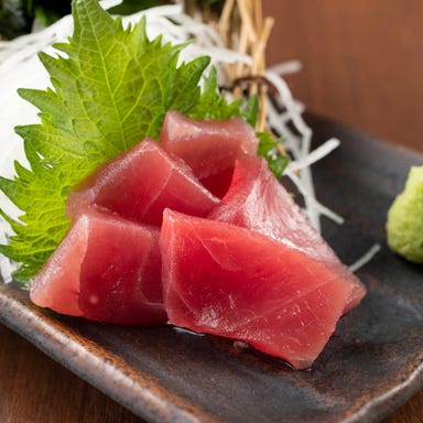 個室居酒屋 赤坂 京小町_本マグロ