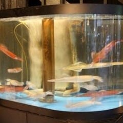 第八飯場丸
