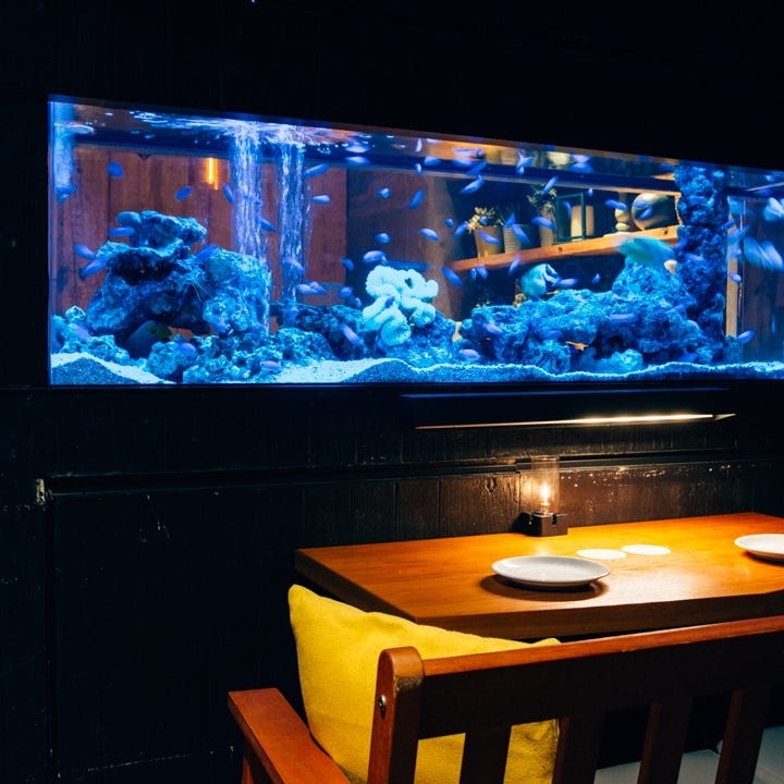 アクアリウム 新宿ライムイタリアン 新宿三丁目店 コース C 都心に佇む水族館でナイトアクアリウムデートプラン 額縁ホールケーキ付 ぐるなび