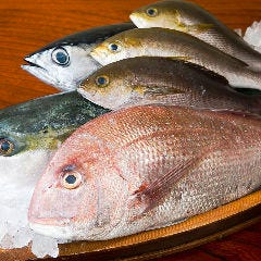 海鮮 旬彩料理 魚波 小岩 居酒屋 ぐるなび