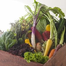 ◆県産野菜をたっぷり召し上がれ