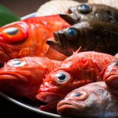 魚料理専門店 鮮菜活粋 河野  こだわりの画像