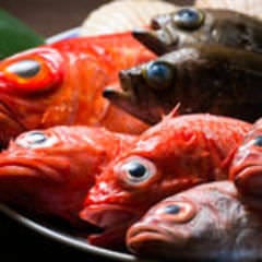 魚料理専門店 鮮菜活粋 河野 