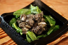 宮崎地鶏炭火焼 車 恵比寿店 レッツエンジョイ東京 宮崎地鶏炭火焼 車 恵比寿店 レッツエンジョイ東京