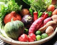 地元農家から直接仕入れる新鮮な野菜