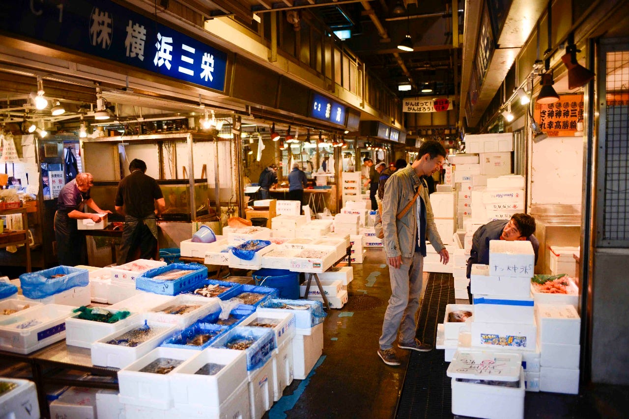 ◆◇朝の仕入風景♭♭　横浜中央卸売市場魚河岸