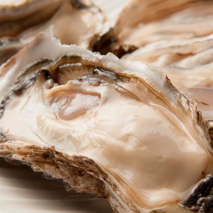 Cプラン 生牡蠣 カキフライ 牡蠣ガンガン焼き 食べ放題 90分 3900円 税サ込4290円 お通し代込の詳細 なごみや 一夜 札幌すすきの 牡蠣小屋 ぐるなび