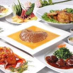 高級食材を使用した特別な日のためのコースをご用意しました
