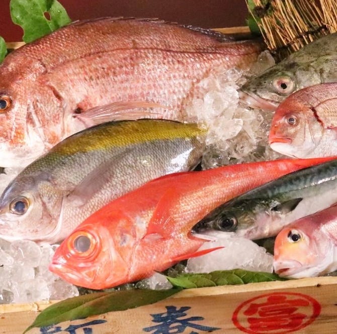 小田原産 朝どれ地魚地酒 湘南大衆横丁 小田原店 小田原 南足柄 居酒屋 ぐるなび
