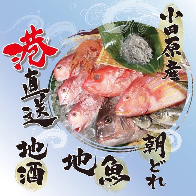小田原産 朝どれ地魚地酒 湘南大衆横丁 小田原店 小田原 南足柄 居酒屋 ぐるなび