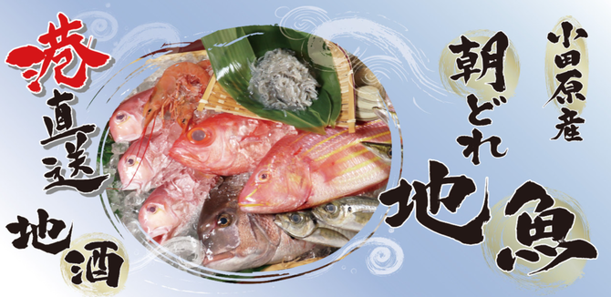 小田原産 朝どれ地魚地酒 湘南大衆横丁 小田原店 小田原 南足柄 居酒屋 ぐるなび 小田原産 朝どれ地魚地酒 湘南大衆横丁 小田原店 小田原 南足柄 居酒屋 ぐるなび