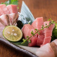 旬の鮮魚を堪能！お料理のみのコースもご用意しました！