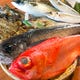 千葉県館山から直送の旬鮮魚もオススメ