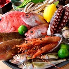 季節料理と新鮮な魚