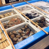 大型生けすの魚介類