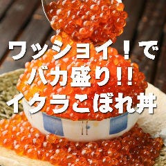 ワッショイ！バカ盛りイクラこぼれ丼～北海道産大粒いくら～（レギュラーサイズ）