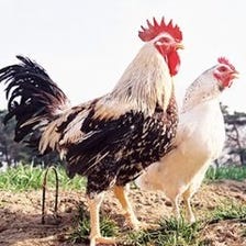 肉質の良い会津地鶏を使用