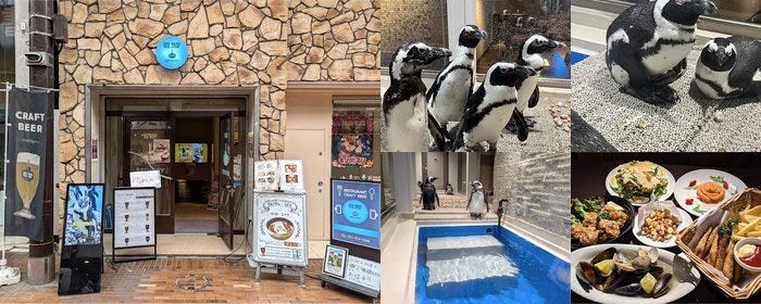 ペンギン×クラフトビール×大人数宴会 ONE DROP