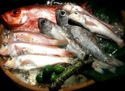 さかぶくろ 西院 居酒屋 ぐるなび