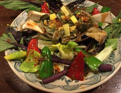 肴と盃 はまけん