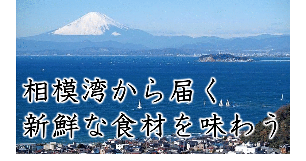 和酒と相模湾鮮魚 浜松町 わ かく田