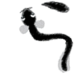 スズキ 新横浜 うなぎ ぐるなび