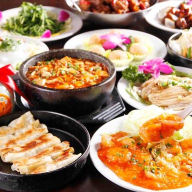 中華食べ放題×宴会カラオケ 太陽城 池袋本店 コースの画像