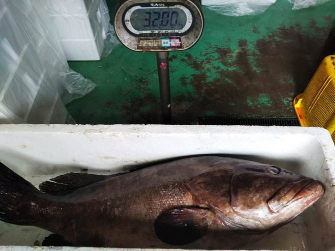 漁港直送鮮魚と四季折々の日本酒 魚と味 うおとみ 自由が丘 自由が丘 居酒屋 ぐるなび