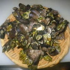 漁港直送鮮魚と四季折々の日本酒 魚と味 うおとみ 自由が丘 写真 ぐるなび