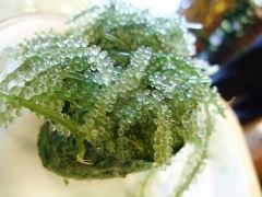 穴場 天満店