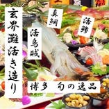 その２.呼子直送 活イカや生簀活魚が付く飲み放題付コース4000円～