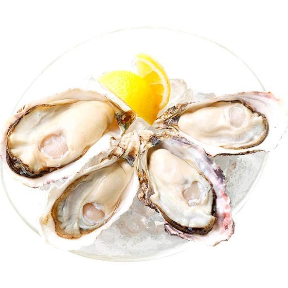 8TH SEA OYSTER Bar 横浜モアーズ店