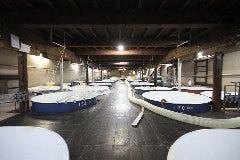 新種が続々届いてます！