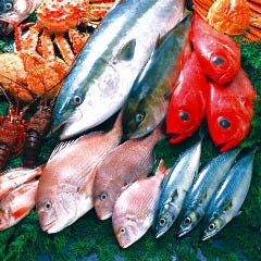 すし 海鮮居酒屋 阿波水産 泉北店 自慢の食材 鮮度抜群の旬魚が安価で食べれる秘密 ぐるなび