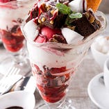 Hot Fudge Brownie Sundae Vanilla Ice Cream ＆ Raspberry Sorbet