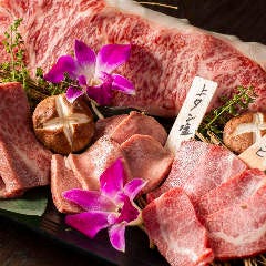 いきなりステーキ南行徳店 地図 行徳 原木 ステーキ ぐるなび