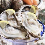 『生牡蠣』一年中食べられる南三陸の牡蠣、石巻から産地直送！