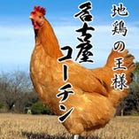 【日本三大美味地鶏】名古屋コーチン【愛知県】