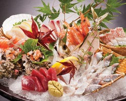 釣船茶屋ざうお 目黒店 目黒 魚料理 ぐるなび