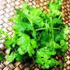 タイ料理に使われるハーブには嬉しい効果効能がいっぱい♪