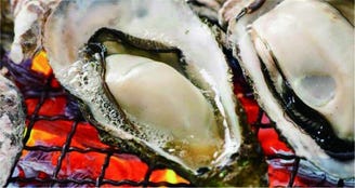 丸山本店 松島玉手箱館 おすすめ 売れ筋メニュー ぐるなび