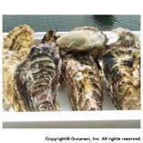 松島産の生牡蠣（復興支援）【宮城県】